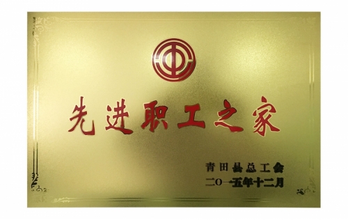 资质声誉-888集团,电子式电能,智能电能表,智能开关,智能AMI系统,物联网解决方案,官方网站