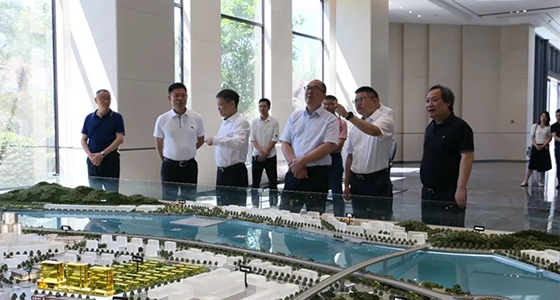 省委政研室童主任一行调研888集团集团